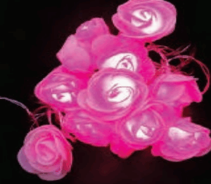 Cordao de Rosa 20 LEDs Pink (usar pilha)