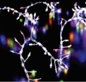 Festão fio de fada 200 leds color função corrida
