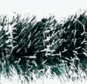Festão verde escuro com branco 6,50cm