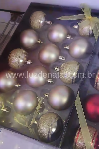 Referência p21501